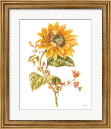 Framed Floursack Autumn I on White Print