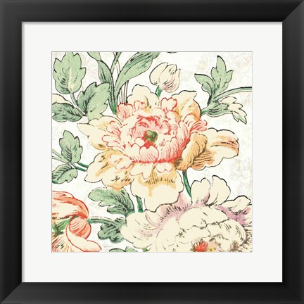 Framed Cottage Roses VI Print