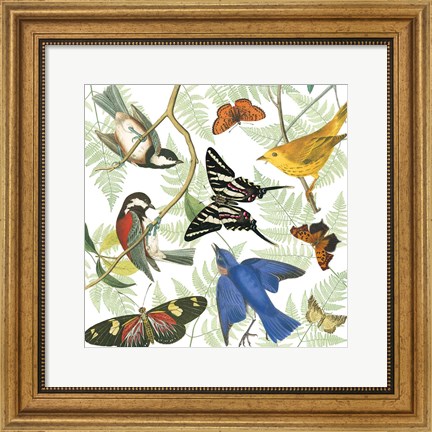 Framed Natures Flight II Print