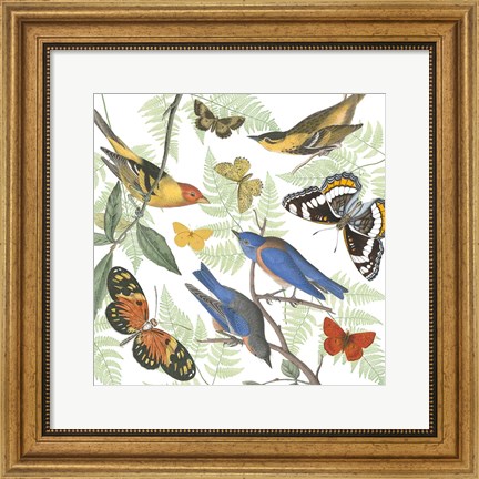 Framed Natures Flight I Print