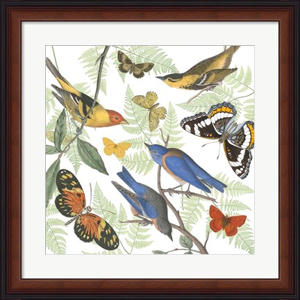 Framed Natures Flight I Print