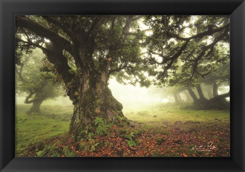 Framed Light from Behind Print