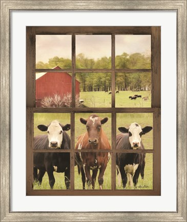 Framed Three Moo View Print