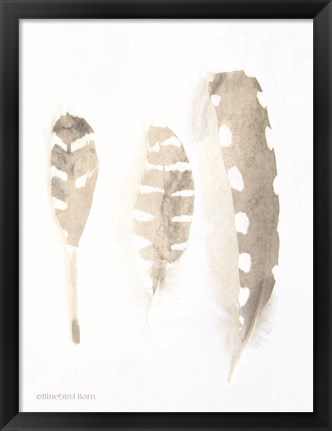 Framed Neutral Feathers Study Print