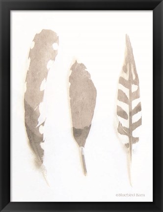 Framed Soft Feathers Study Print