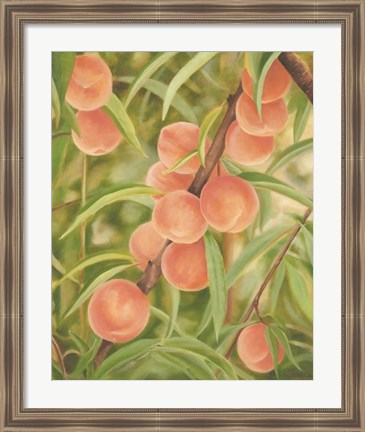 Framed Peach Perfect Print