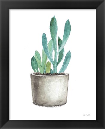 Framed Mixed Greens Succulent V Print