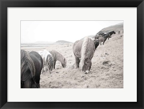 Framed Horses of Hofn II BW Print