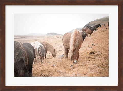 Framed Horses of Hofn II Print