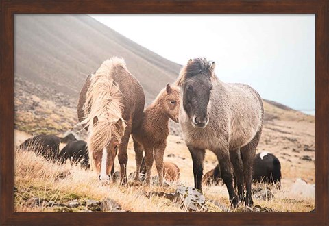 Framed Horses of Hofn I Print