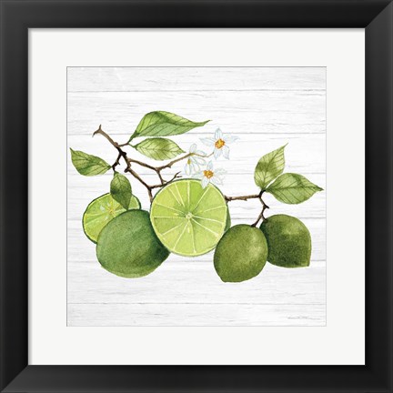 Framed Citrus Garden VII Shiplap Print