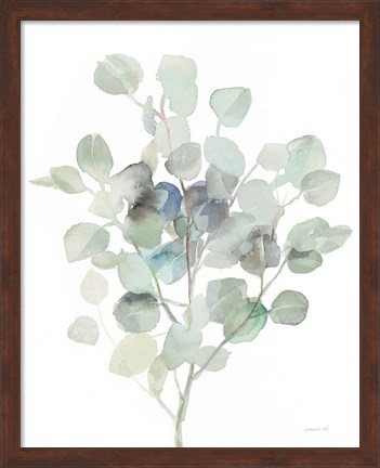 Framed Eucalyptus III Cool Print