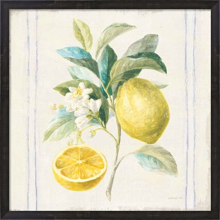 Framed Floursack Lemons IV Sq Navy Print