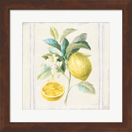 Framed Floursack Lemons IV Sq Navy Print