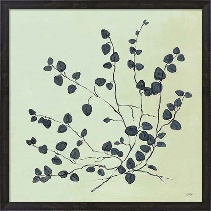 Framed Botanical Study VII Sage Print