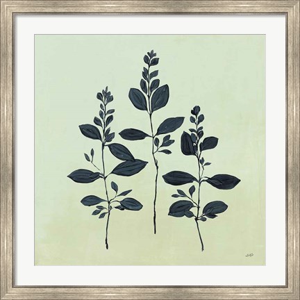 Framed Botanical Study IV Sage Print