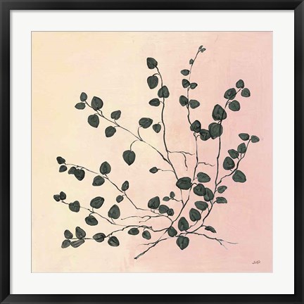 Framed Botanical Study VII Blush Print