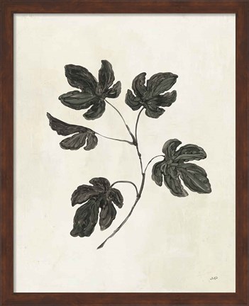 Framed Botanical Study III Print