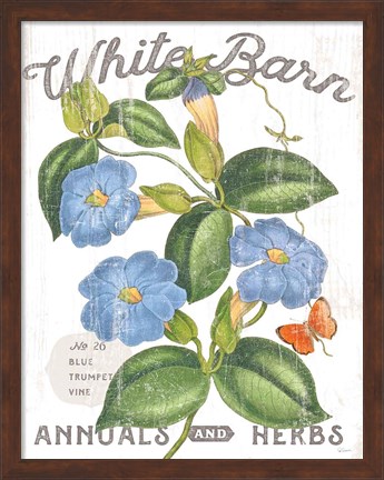 Framed White Barn Flowers II Print
