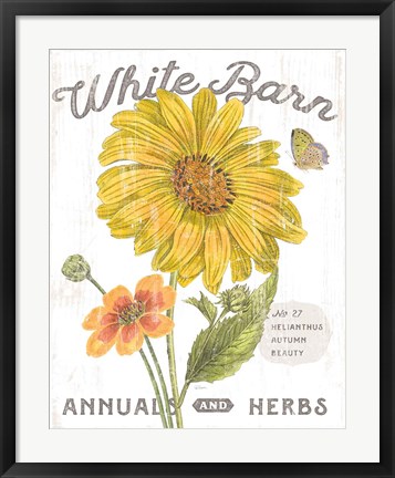 Framed White Barn Flowers I Print