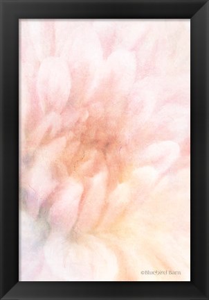 Framed Soft Dahlia Pastel Peach Print