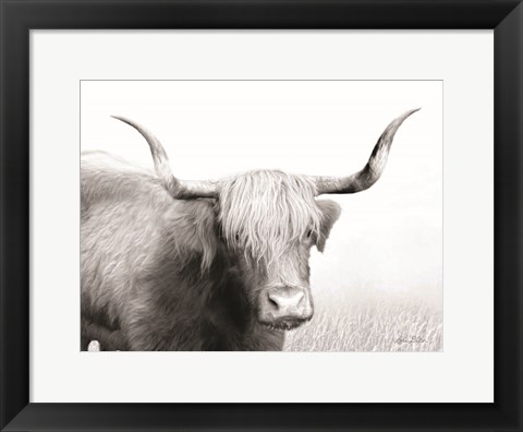 Framed Highland Cow Print