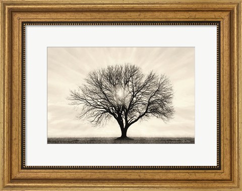 Framed Grow in Different Directions Print