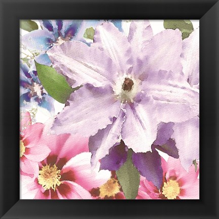 Framed Clematis II Print