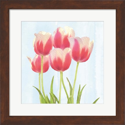 Framed Fresh Spring Tulips III Print