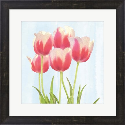 Framed Fresh Spring Tulips III Print