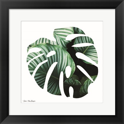 Framed Leaves Leaf Print