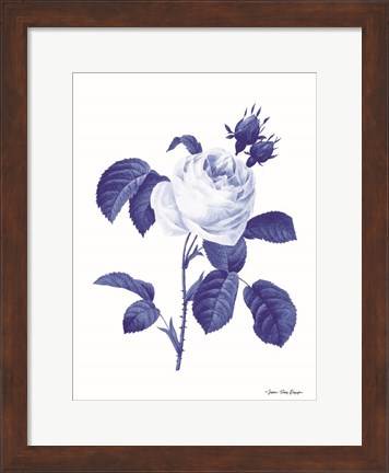 Framed Blue Botanical I Print