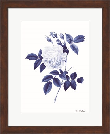 Framed Blue Botanical II Print