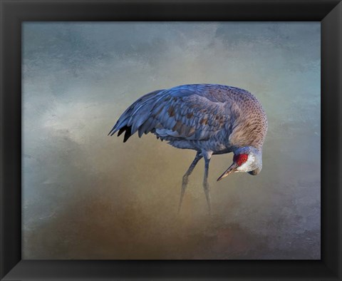 Framed Sandhill Crane Print