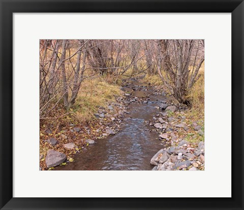 Framed Ochoco Creek Print