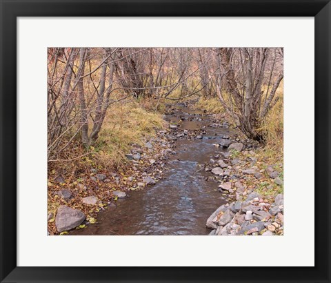 Framed Ochoco Creek Print