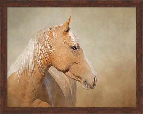 Framed Silk - Mustang Mare Print