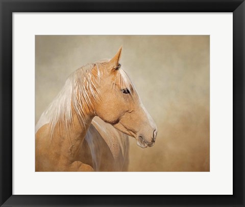 Framed Silk - Mustang Mare Print