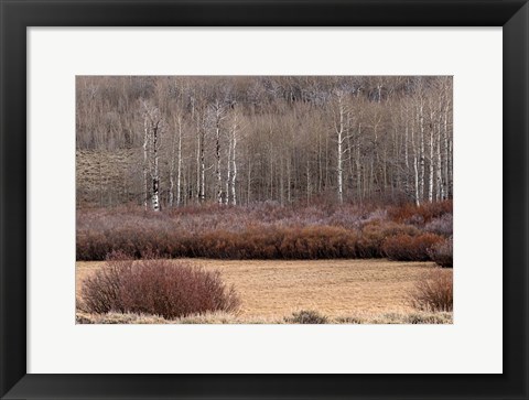 Framed Steens Mountain Meadow Print