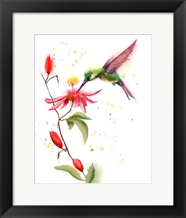 Framed Humming Bird II Print