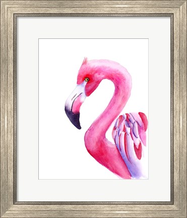 Framed Flamingo Print