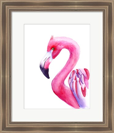 Framed Flamingo Print