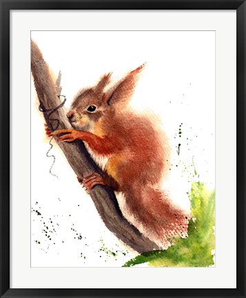 Framed Squirrel Print