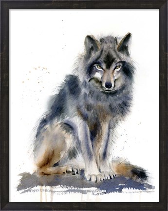 Framed Wolf IV Print