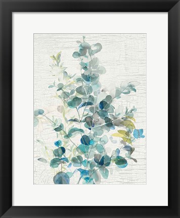 Framed Eucalyptus IV Vintage Print