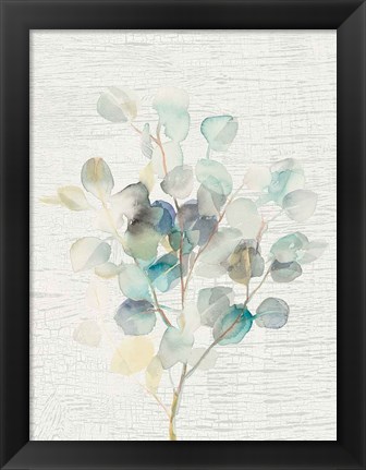 Framed Eucalyptus III Vintage Print