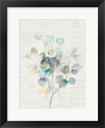 Framed Eucalyptus III Vintage Print