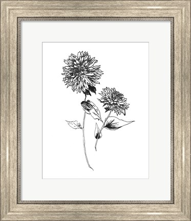 Framed Sketchbook Flowers on White IV Print