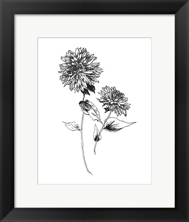 Framed Sketchbook Flowers on White IV Print