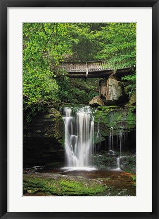 Framed Elakala Falls West II Print